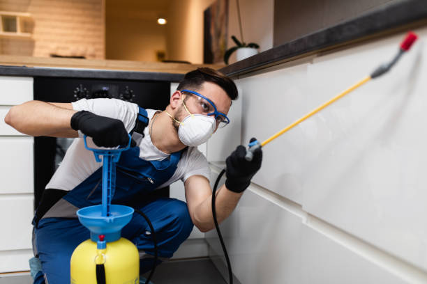 Pest Prevention Services in Lincoln Village, OH