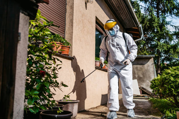 Best Residential Pest Control  in Lincoln Village, OH