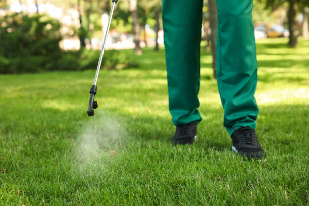 Best Wasp Removal Services  in Lincoln Village, OH