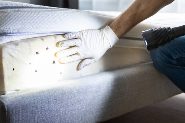 Best Pest Inspection Near Me  in Lincoln Village, OH