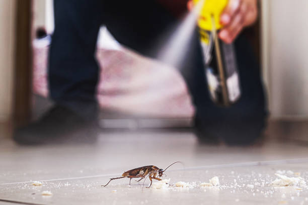 Best Pest Control Near Me in Lincoln Village, OH
